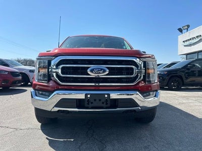 2023 Ford F-150 XL